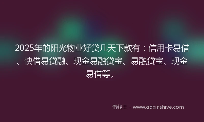 2025年的阳光物业好贷几天下款有：信用卡易借、快借易贷融、现金易融贷宝、易融贷宝、现金易借等。