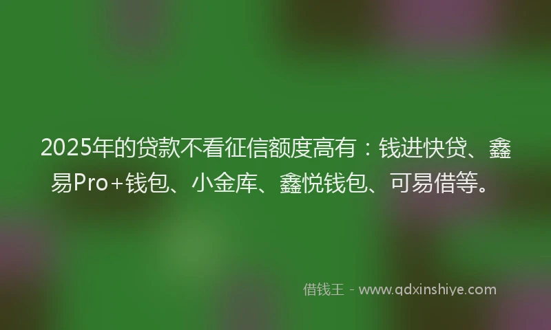 2025年的贷款不看征信额度高有:钱进快贷、鑫易Pro+钱包、小金库、鑫悦钱包、可易借等。