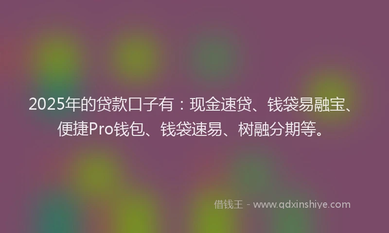 2025年的贷款口子有:现金速贷、钱袋易融宝、便捷Pro钱包、钱袋速易、树融分期等。