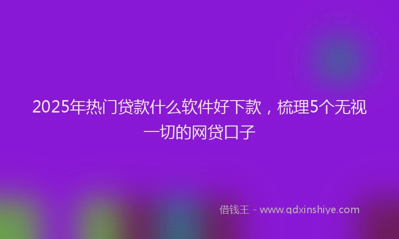 2025年热门贷款什么软件好下款，梳理5个无视一切的网贷口子