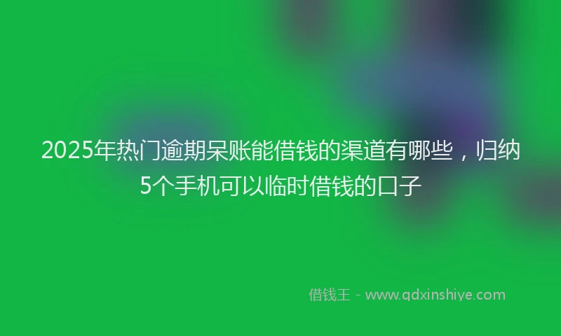 2025年热门逾期呆账能借钱的渠道有哪些,归纳5个手机可以临时借钱的口子