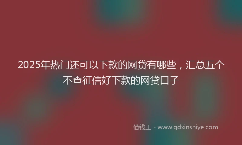 2025年热门还可以下款的网贷有哪些，汇总五个不查征信好下款的网贷口子