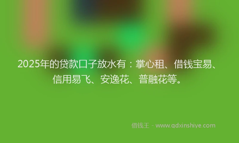 2025年的贷款口子放水有:掌心租、借钱宝易、信用易飞、安逸花、普融花等。