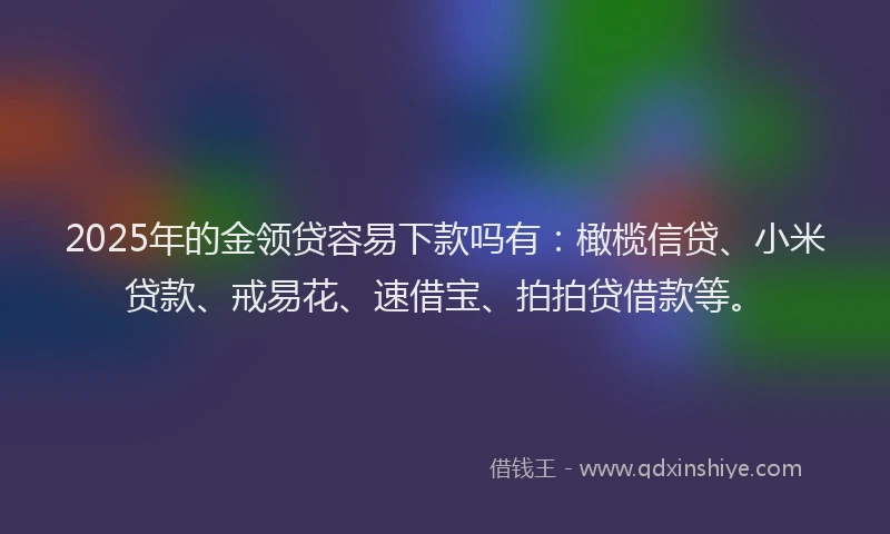 2025年的金领贷容易下款吗有:橄榄信贷、小米贷款、戒易花、速借宝、拍拍贷借款等。