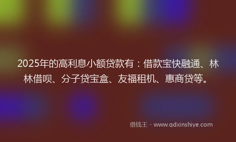 2025年的高利息小额贷款有:借款宝快融通、林林借呗、分子贷宝盒、友福租机、惠商贷等。