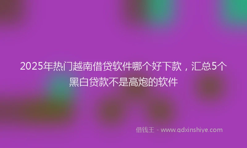 2025年热门越南借贷软件哪个好下款,汇总5个黑白贷款不是高炮的软件