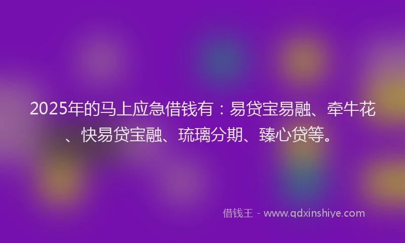 2025年的马上应急借钱有：易贷宝易融、牵牛花、快易贷宝融、琉璃分期、臻心贷等。