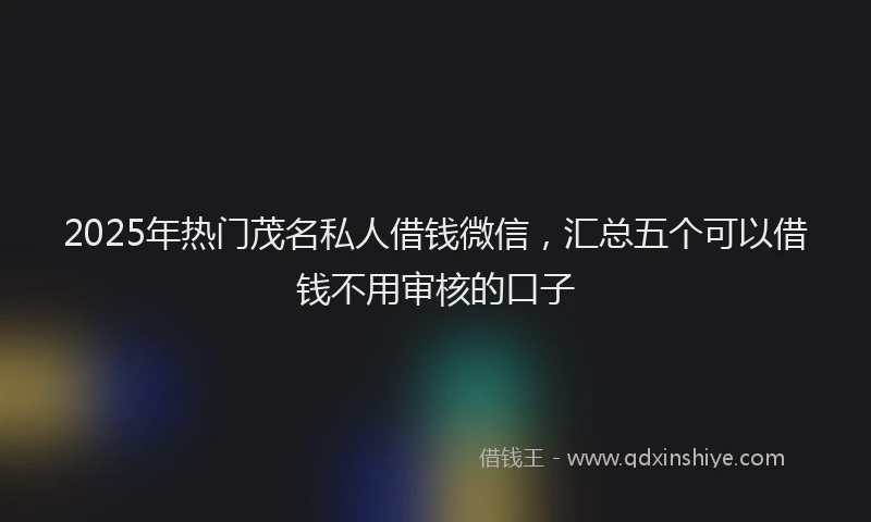 2025年热门茂名私人借钱微信，汇总五个可以借钱不用审核的口子