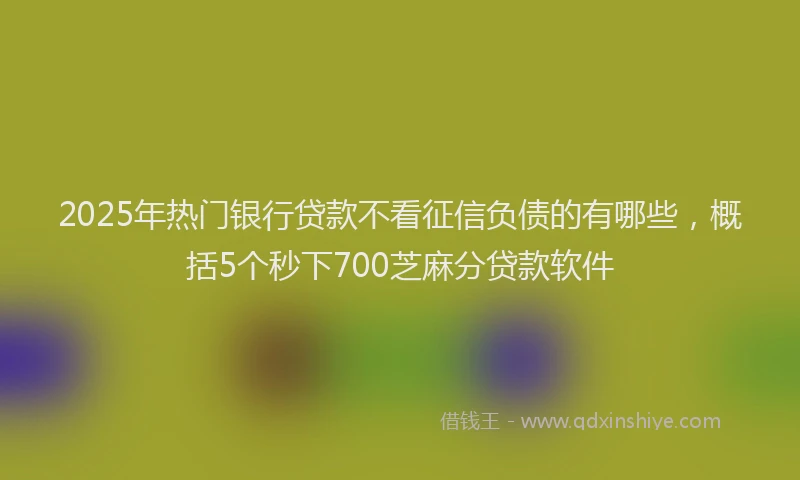 2025年热门银行贷款不看征信负债的有哪些，概括5个秒下700芝麻分贷款软件