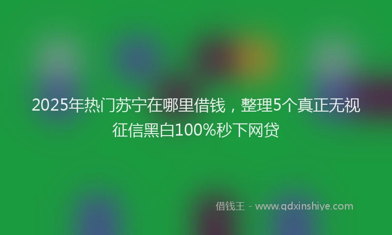 2025年热门苏宁在哪里借钱，整理5个真正无视征信黑白100%秒下网贷