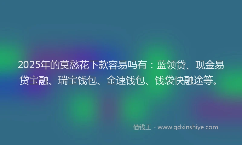 2025年的莫愁花下款容易吗有：蓝领贷、现金易贷宝融、瑞宝钱包、金速钱包、钱袋快融途等。