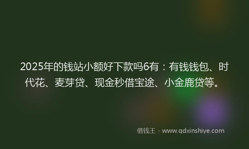 2025年的钱站小额好下款吗6有：有钱钱包、时代花、麦芽贷、现金秒借宝途、小金鹿贷等。