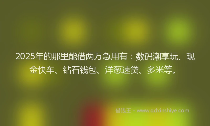 2025年的那里能借两万急用有：数码潮享玩、现金快车、钻石钱包、洋葱速贷、多米等。