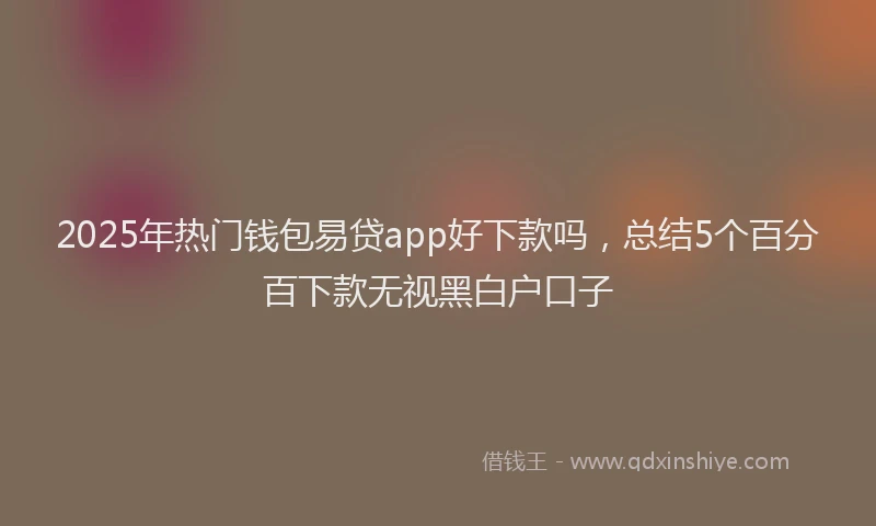 2025年热门钱包易贷app好下款吗,总结5个百分百下款无视黑白户口子