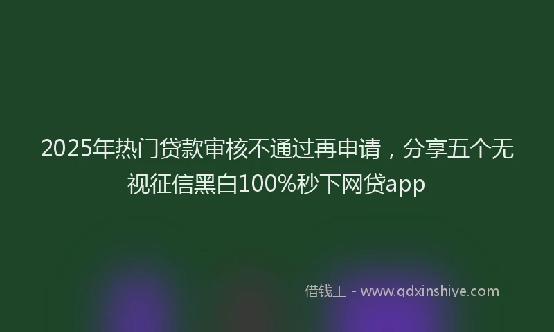 2025年热门贷款审核不通过再申请,分享五个无视征信黑白100%秒下网贷app