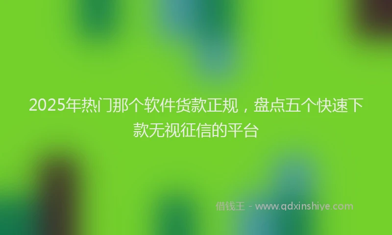 2025年热门那个软件货款正规，盘点五个快速下款无视征信的平台