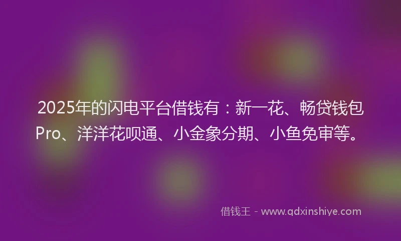 2025年的闪电平台借钱有：新一花、畅贷钱包Pro、洋洋花呗通、小金象分期、小鱼免审等。