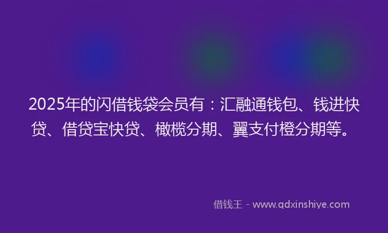 2025年的闪借钱袋会员有：汇融通钱包、钱进快贷、借贷宝快贷、橄榄分期、翼支付橙分期等。