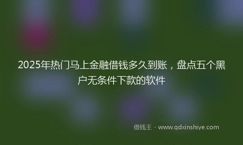 2025年热门马上金融借钱多久到账，盘点五个黑户无条件下款的软件