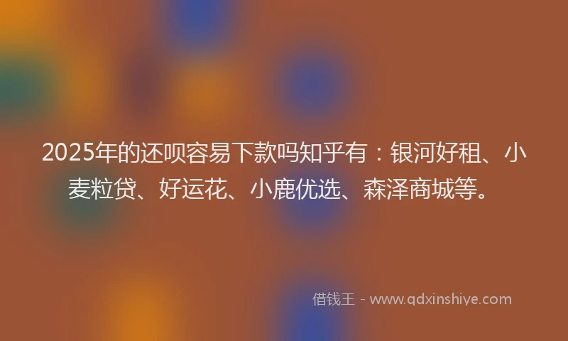 2025年的还呗容易下款吗知乎有：银河好租、小麦粒贷、好运花、小鹿优选、森泽商城等。