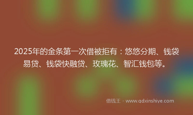 2025年的金条第一次借被拒有：悠悠分期、钱袋易贷、钱袋快融贷、玫瑰花、智汇钱包等。