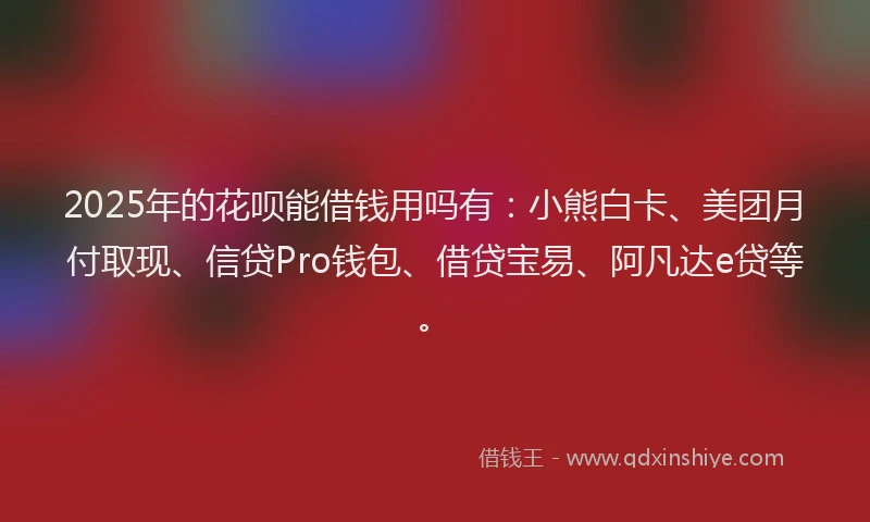 2025年的花呗能借钱用吗有：小熊白卡、美团月付取现、信贷Pro钱包、借贷宝易、阿凡达e贷等。