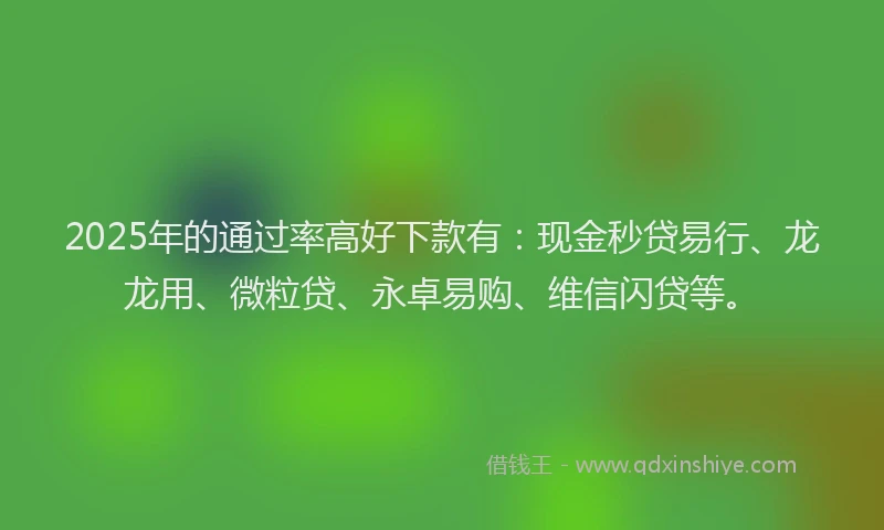 2025年的通过率高好下款有：现金秒贷易行、龙龙用、微粒贷、永卓易购、维信闪贷等。