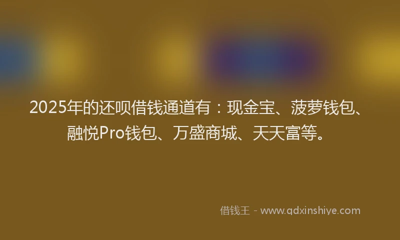 2025年的还呗借钱通道有:现金宝、菠萝钱包、融悦Pro钱包、万盛商城、天天富等。