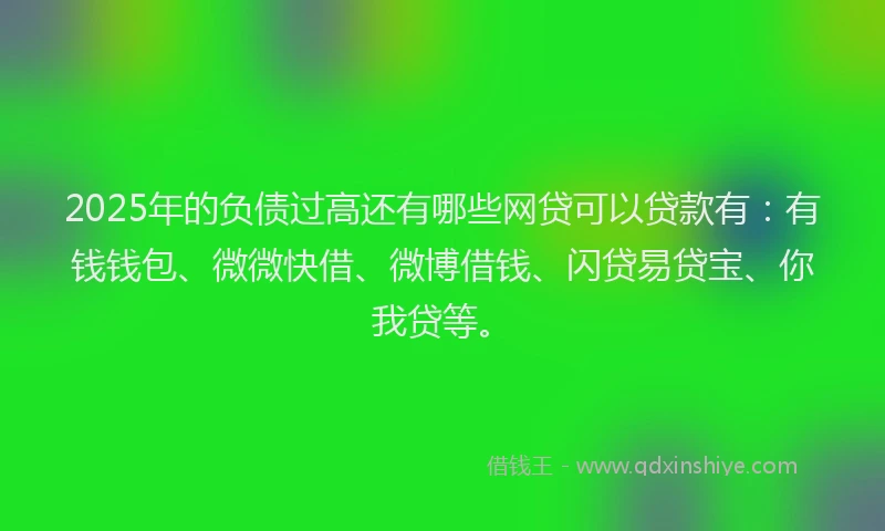 2025年的负债过高还有哪些网贷可以贷款有:有钱钱包、微微快借、微博借钱、闪贷易贷宝、你我贷等。