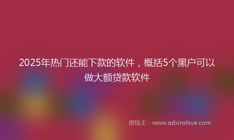 2025年热门还能下款的软件,概括5个黑户可以做大额贷款软件