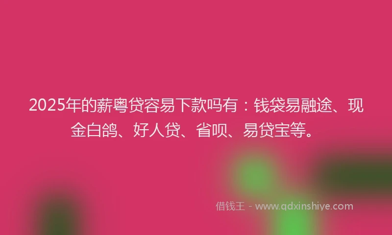 2025年的薪粤贷容易下款吗有：钱袋易融途、现金白鸽、好人贷、省呗、易贷宝等。