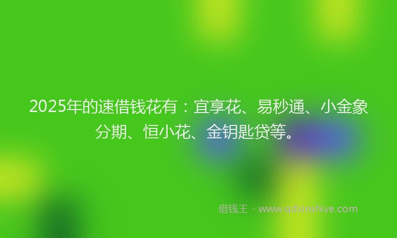 2025年的速借钱花有：宜享花、易秒通、小金象分期、恒小花、金钥匙贷等。