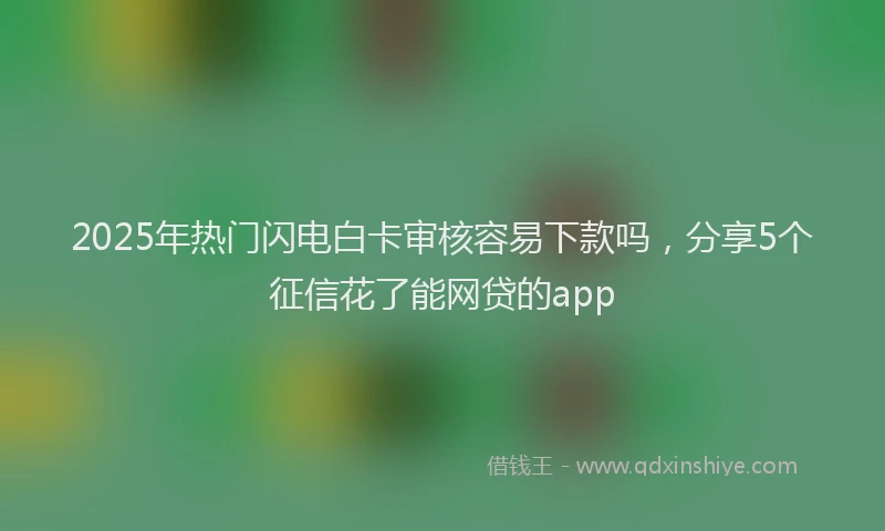 2025年热门闪电白卡审核容易下款吗,分享5个征信花了能网贷的app