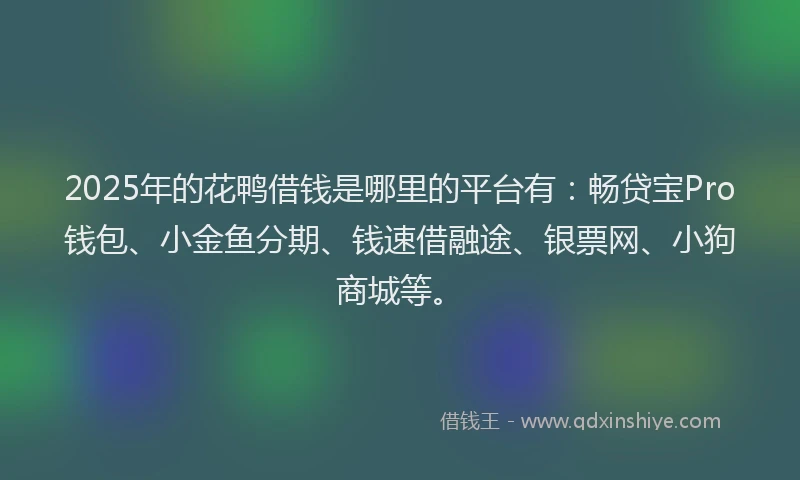 2025年的花鸭借钱是哪里的平台有:畅贷宝Pro钱包、小金鱼分期、钱速借融途、银票网、小狗商城等。