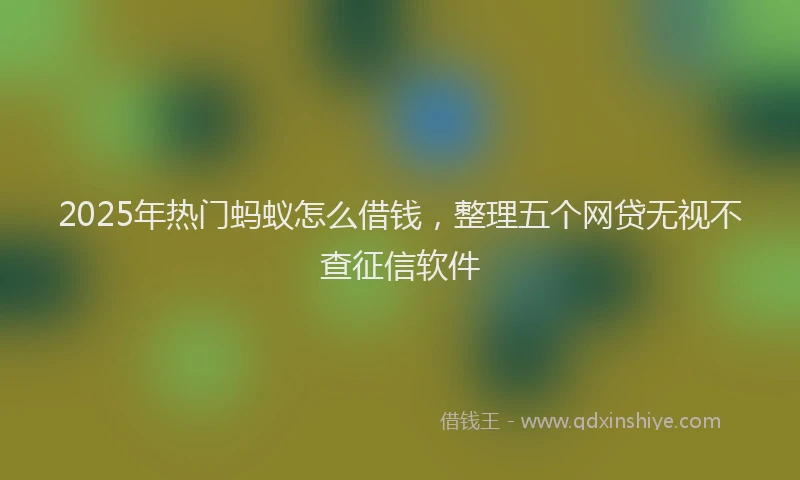 2025年热门蚂蚁怎么借钱，整理五个网贷无视不查征信软件