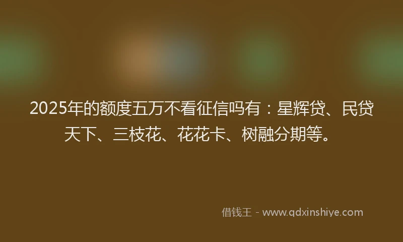 2025年的额度五万不看征信吗有：星辉贷、民贷天下、三枝花、花花卡、树融分期等。