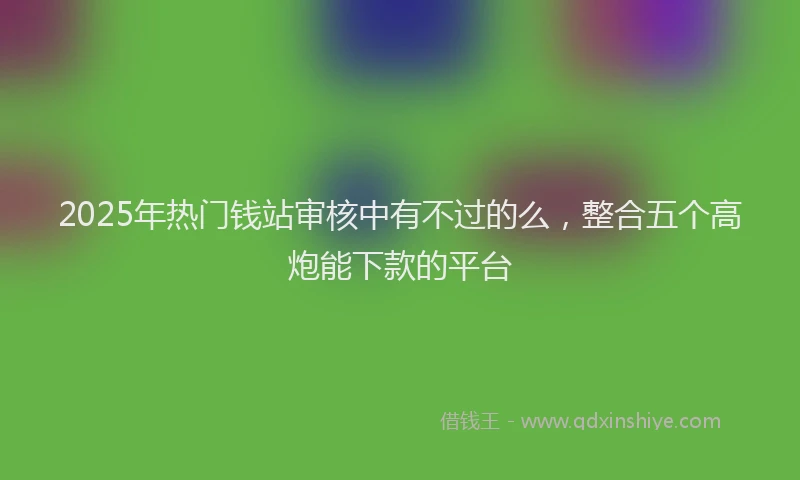 2025年热门钱站审核中有不过的么，整合五个高炮能下款的平台