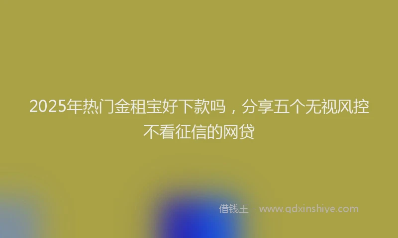 2025年热门金租宝好下款吗,分享五个无视风控不看征信的网贷