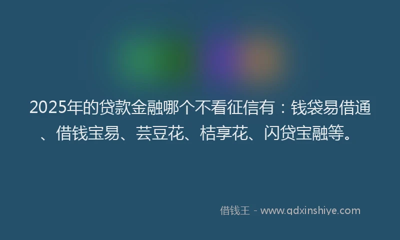 2025年的贷款金融哪个不看征信有：钱袋易借通、借钱宝易、芸豆花、桔享花、闪贷宝融等。