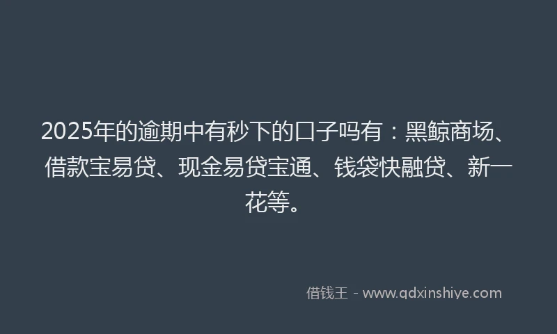 2025年的逾期中有秒下的口子吗有:黑鲸商场、借款宝易贷、现金易贷宝通、钱袋快融贷、新一花等。