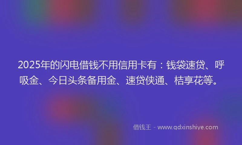 2025年的闪电借钱不用信用卡有：钱袋速贷、呼吸金、今日头条备用金、速贷侠通、桔享花等。
