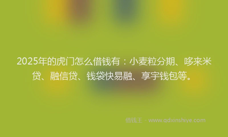 2025年的虎门怎么借钱有：小麦粒分期、哆来米贷、融信贷、钱袋快易融、享宇钱包等。