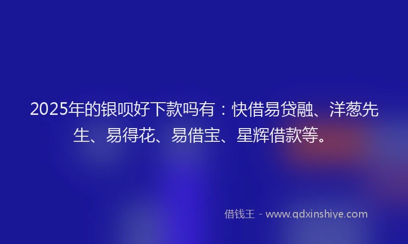 2025年的银呗好下款吗有：快借易贷融、洋葱先生、易得花、易借宝、星辉借款等。