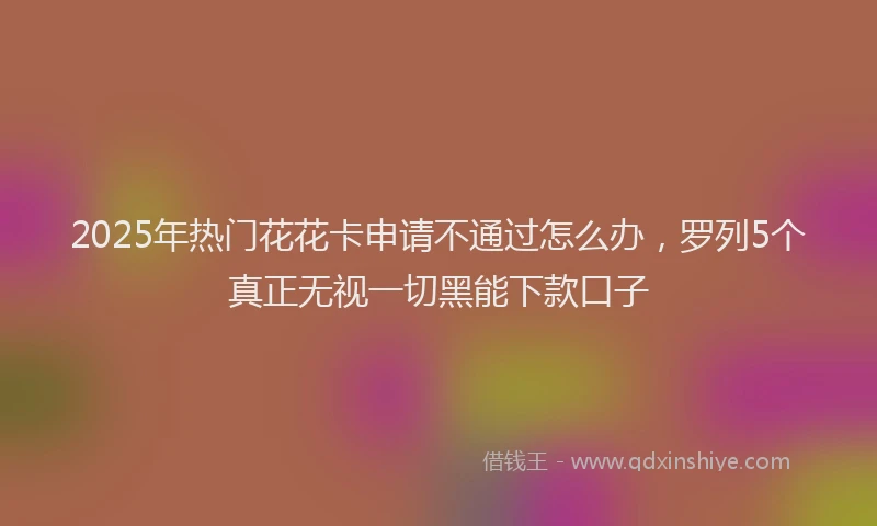 2025年热门花花卡申请不通过怎么办，罗列5个真正无视一切黑能下款口子