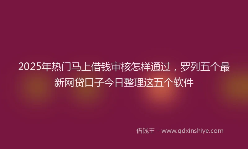 2025年热门马上借钱审核怎样通过,罗列五个最新网贷口子今日整理这五个软件
