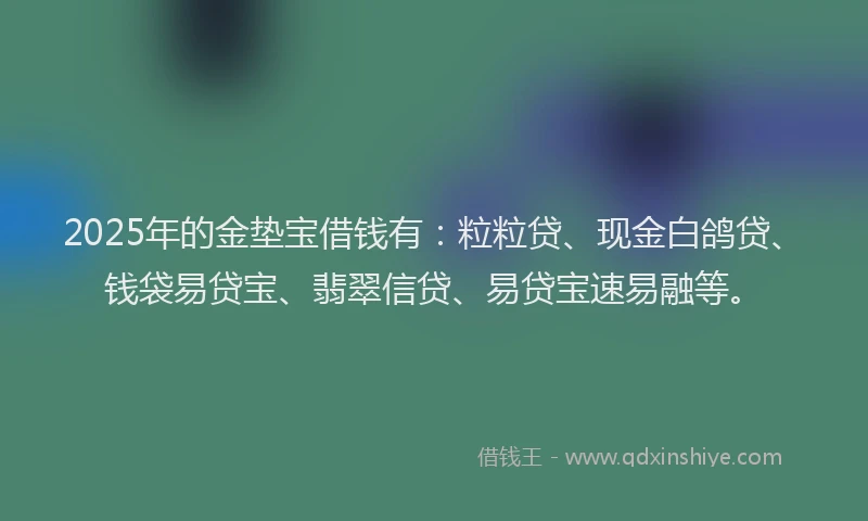 2025年的金垫宝借钱有：粒粒贷、现金白鸽贷、钱袋易贷宝、翡翠信贷、易贷宝速易融等。