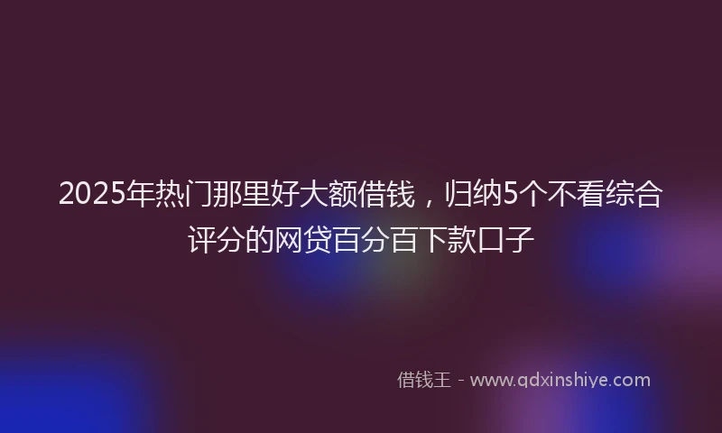 2025年热门那里好大额借钱，归纳5个不看综合评分的网贷百分百下款口子