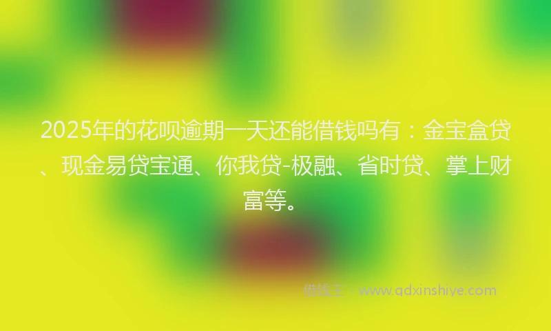 2025年的花呗逾期一天还能借钱吗有：金宝盒贷、现金易贷宝通、你我贷-极融、省时贷、掌上财富等。