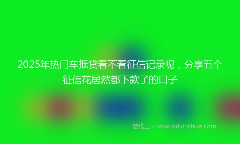 2025年热门车抵贷看不看征信记录呢,分享五个征信花居然都下款了的口子