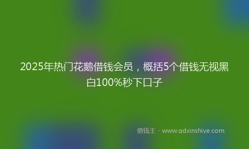 2025年热门花鹅借钱会员，概括5个借钱无视黑白100%秒下口子
